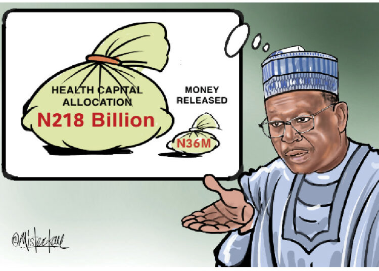 2025 Budget: If I Were Pate 1 health capital budget