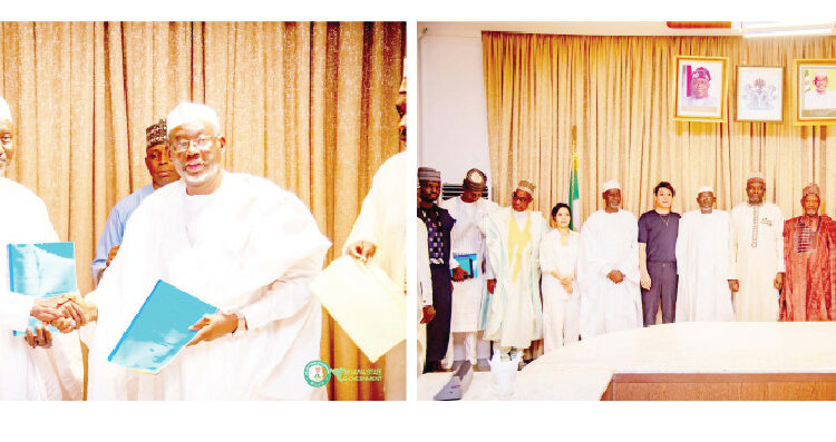 Energy Reforms: Jigawa To Begin Domestic Solar Panel Production 1 jigawa state