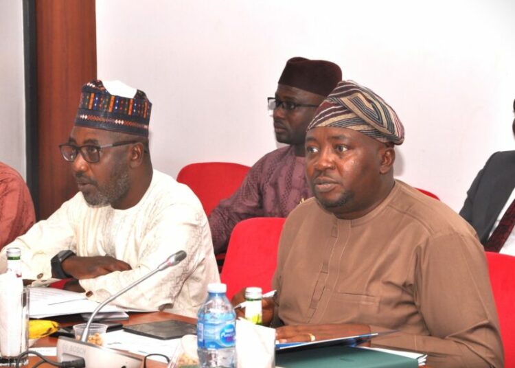 Despite Zero Capital Budget, Power Ministry Hits 100% on Key Goals – Adelabu 1 men dem 1
