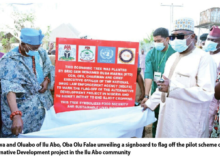 From Cannabis Farms To Agricultural Farms: The Story Of NDLEA's Alternative Development Initiative 1 ndlea project