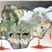 Board Of Peace, Bleeding Republic 5 Board Of Peace, Bleeding Republic