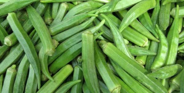 How Okro Farming Can Yield Millions Even In Tough Times 1 okro farming