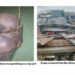 Horror In Isong Inyang: Day Mummified Bodies Were Uncovered In Scrap Yard–Disguised Mortuary 9 Horror In Isong Inyang: Day Mummified Bodies Were Uncovered In Scrap Yard–Disguised Mortuary