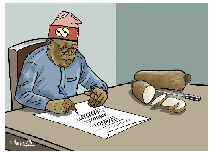 The 'Knife And Yam' 1 tinubu1