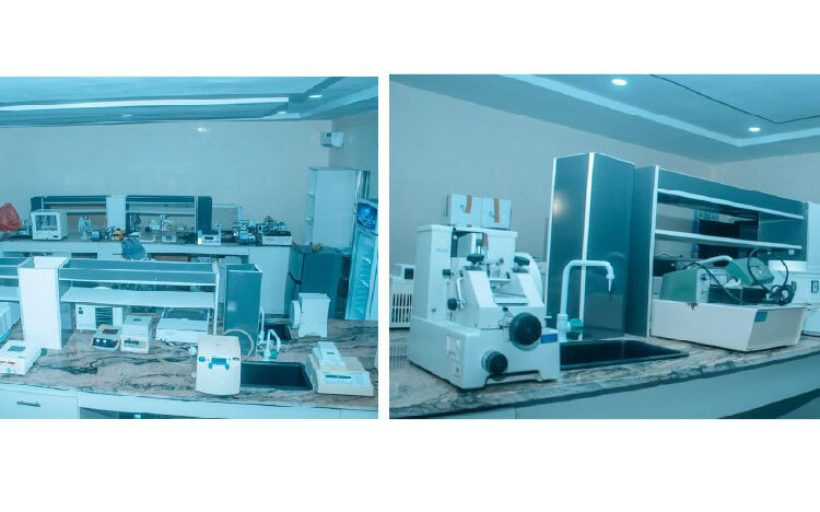 yobe biomedical science