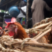 Nigeria, FAO Agree On $350,000 Bird Flu Intervention