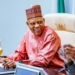 ADC Membership Portal Flooded With Fake Names, VP Shettima Mocks Opposition