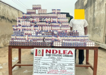 Kano: NDLEA Seizes 1,499 Codeine Bottles, Arrests Suspect