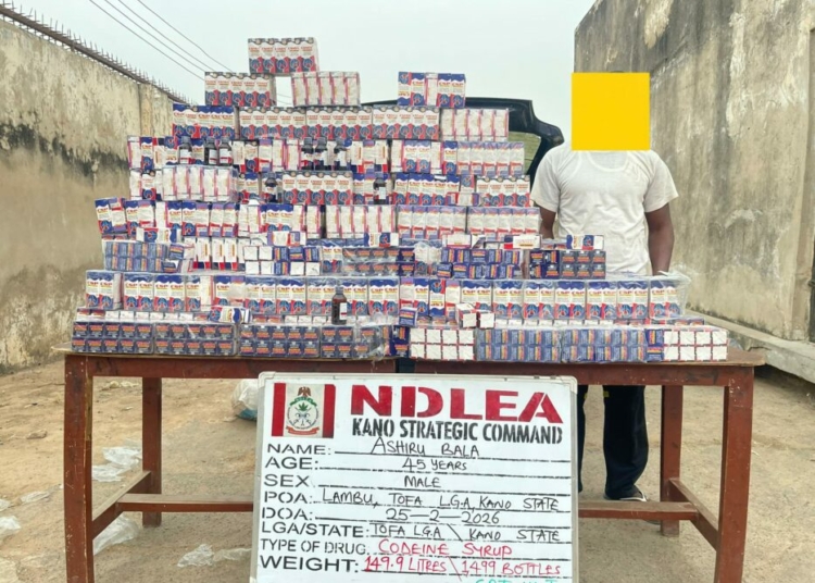 Kano: NDLEA Seizes 1,499 Codeine Bottles, Arrests Suspect 1 645483219 4323561727924669 4111295688286339223 n