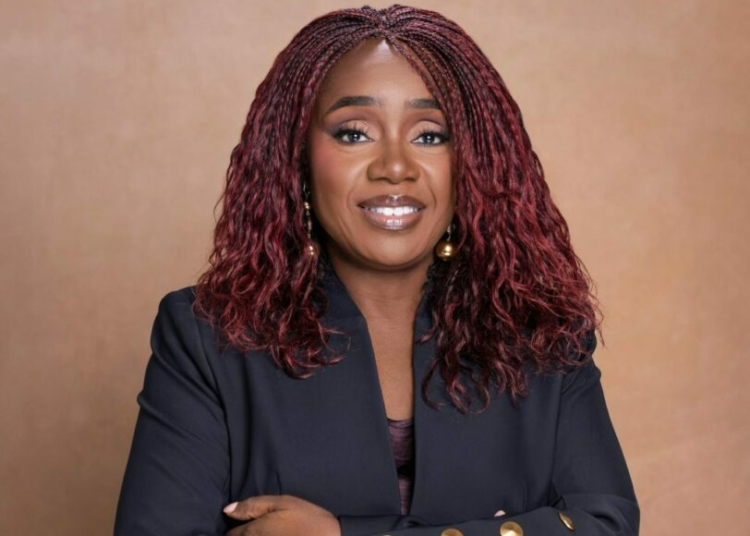 Adeosun Unveils Nidacity, Targets Reducing Nigeria's 95% Startup Failure 1 Adeosun