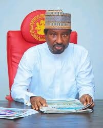 State Police: Barau Engages Nigeria Police Steering Committee 1 BARUA