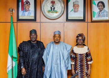 Bagudu Stresses Need For Credible Population Data