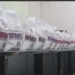 Ramadan: BWSO Distributes 300 Rice Bags To PWD Families In Bauchi 5 Ramadan: BWSO Distributes 300 Rice Bags To PWD Families In Bauchi