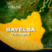 Man Flogged To Death Over Alleged Rape Of Minor In Bayelsa