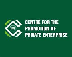 CPPE Flags Weak SME Lending As Recapitalisation Of Nigeria Banks Closes