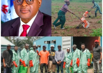Cross River Commences Registration Of 17,000 Farmers For Traceability Project