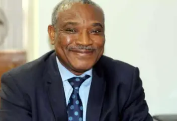 Traditional Rulers, Foreigners Behind Illegal Mining In Cross River — Obono-Obla