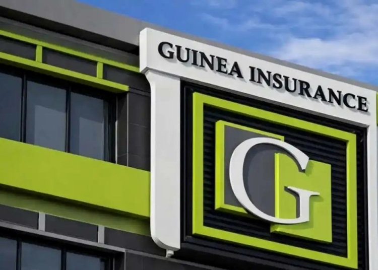 Guinea Insurance To Raise N5.8bn Through Rights Issue, Targets Expansion, Value Creation 1 Guinea Insurance