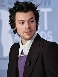 Harry Styles To Stream Manchester ‘One Night Only’ Concert On Netflix