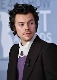 Harry Styles To Stream Manchester ‘One Night Only’ Concert On Netflix 1 Harry styles
