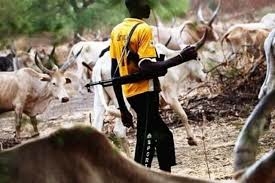 Suspected Herdsmen Kill 15, Injure Others In Benue Community 1 Herdsmen