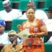 David Mark’s Daughter Leads Tinubu’s Re-election Campaign