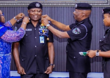 IGP Deploys 8 New DIGs