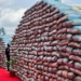 Food Security: Kaduna Showcases Gains Ahead Of NIPR Week 2026
