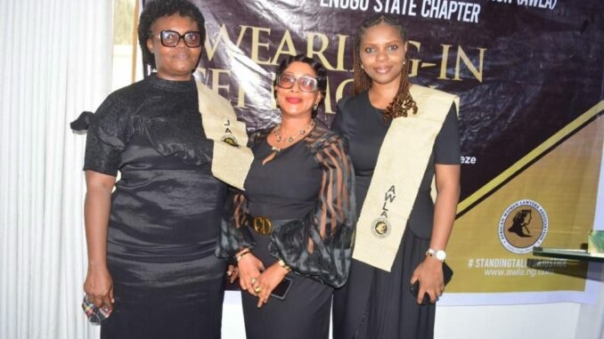 Domestic Violence National Emergency, Says Bar Obeke-Okoli 1 IMG 20260302 WA0022 678x381 1
