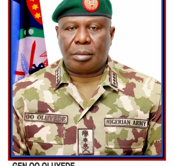 Counter-Insurgency: Why Nigerians Must Take Ownership and Expose Terrorists Within 1 IMG 20260319 WA0024