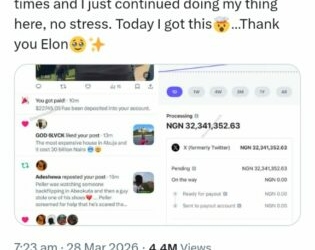 Nigerian X User Stuns Internet With ₦32 Million Payout From Elon Musk