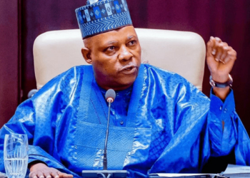 Tinubu Determined To Reform Power Sector – Shettima