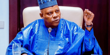 Tinubu Determined To Reform Power Sector – Shettima
