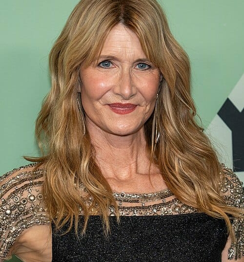 Actress Laura Dern To Star In Epstein Investigation Limited Series 1 Laura D