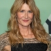 Actress Laura Dern To Star In Epstein Investigation Limited Series 5 Actress Laura Dern To Star In Epstein Investigation Limited Series