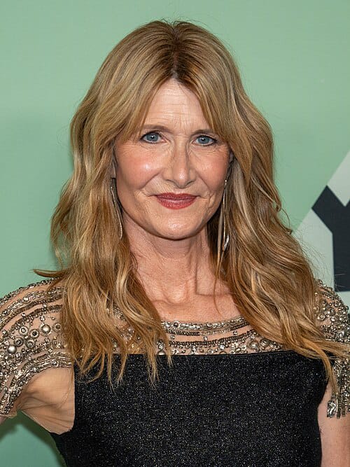 Actress Laura Dern To Star In Epstein Investigation Limited Series