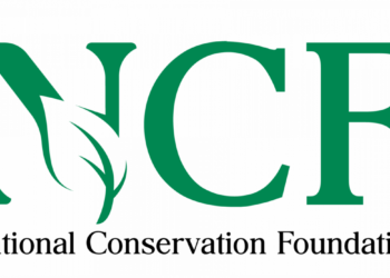 NCF Raises The Alarm Over Rapid Forest Loss