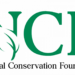 NCF Raises The Alarm Over Rapid Forest Loss