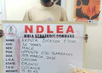 NDLEA Uncovers Cocaine Concealed In Heads Of Dry Stock Fish