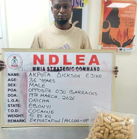 NDLEA Uncovers Cocaine Concealed In Heads Of Dry Stock Fish 1 NDLEA