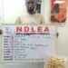NDLEA Uncovers Cocaine Concealed In Heads Of Dry Stock Fish