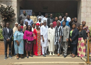 NECA, NACCIMA Urge Scale Up Of GEF-UNIDO Project