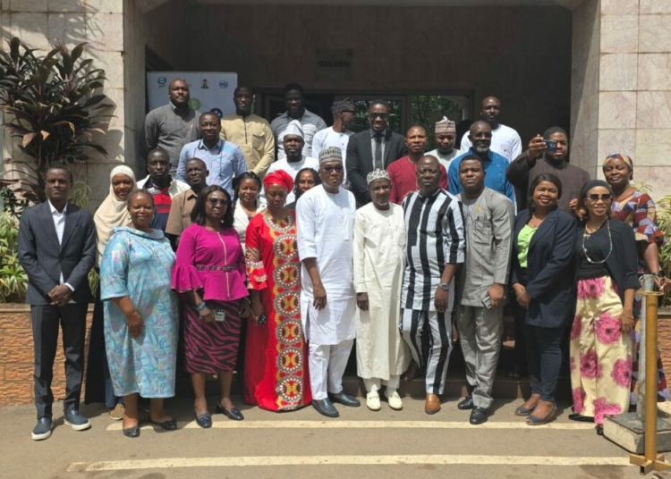 NECA, NACCIMA Urge Scale Up Of GEF-UNIDO Project 1 NECA