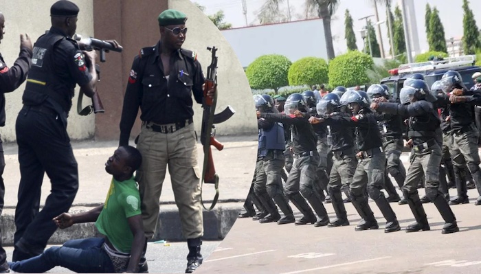 Police Arrest Suspects Over Killing Of 3 Officers In Taraba, Recover Stolen Rifles