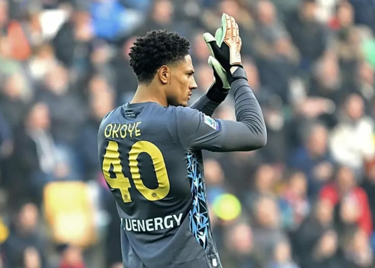 Okoye Explains Decision To Represent Nigeria Over Germany 1 Okoye