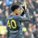 Okoye Explains Decision To Represent Nigeria Over Germany