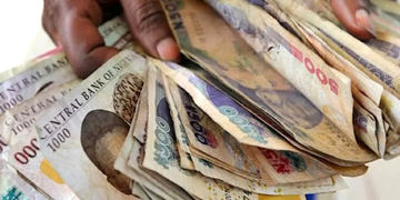 Exchange Rate Stability, Demand Drive Business Optimism – CBN Survey