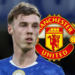 Palmer Eyes Move To Man Utd From Chelsea