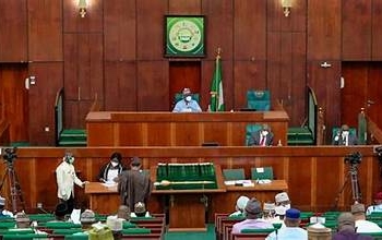 Reps Support Nigerian Green, Climate Bank Establishment