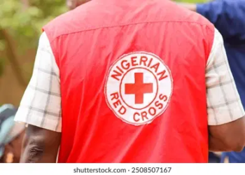 Red Cross Denies Allegations Of Supporting Armed Groups In Nigeria